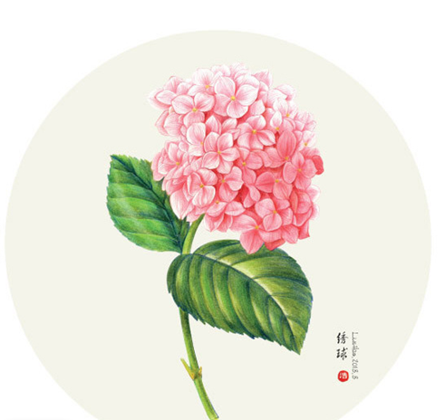 花儿花儿，为谁绽放