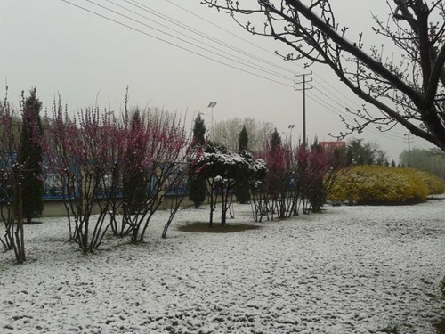 青岛正大的春夏秋冬